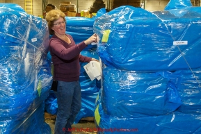 Volunteer Jennifer Ambrose tags over 1600 bales of straw at Airland Transport for use by the mushers and dogs at the 20+ checkpoints along the trail. Thursday February 12, 2015 prior to Iditarod 2015.(C) Jeff Schultz/SchultzPhoto.com - ALL RIGHTS RESERVEDDUPLICATION PROHIBITED WITHOUT PERMISSION