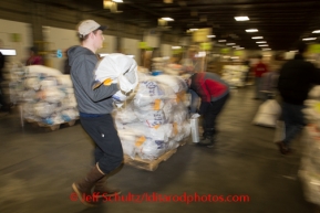 At the Airland Transport's sort facility, volunteers sort, weigh and tag musher food drop bags that are headed out for the 20+ checkpoints on Wednesday February 12, 2014.  PHOTO BY JEFF SCHULTZ/IDITARODPHOTOS.COM  USE ONLY WITH PERMISSION