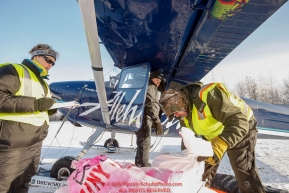 Iditarod Air Force flies out food and supplies to checkpoints before the 2018 race from the Willow airport in Willow, Alaska Photo by Judy Patrick/SchultzPhoto.com  (C) 2018  ALL RIGHTS RESERVED