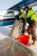 Pilot Joe Pendergrass helps load hay bound for Rainy Pass into Udo Cassee's plane as the Iditarod Air Force flies out food and supplies to checkpoints on Saturday February 17th  before the 2018 race from the Willow airport in Willow, Alaska Photo by Judy Patrick/SchultzPhoto.com  (C) 2018  ALL RIGHTS RESERVED