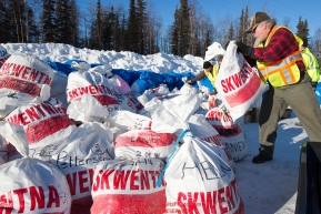 Volunteers move and sort straw, musher drop bags, people food and HEET to waitng Iditarod Air Force planes at the Willow, Alaska airport during the Food Flyout on Saturday, February 20, 2016.  Iditarod 2016