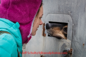 Iditarod Vet Check in Wasilla, AlaskaIditarod Sled Dog Race 2014Stephanie Bartelman, from Quinhagak, Alaska, greets a dog at the Vet Check at race headquarters in Wasilla, Alaska, on February, 26, 2014.PHOTO (c) BY JEFF SCHULTZ -- REPRODUCTION PROHIBITED WITHOUT PERMISSION