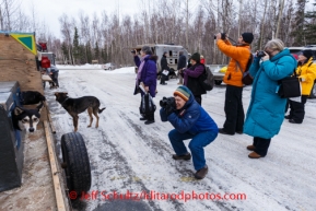 Iditarod Vet Check in Wasilla, AlaskaFans, as well as volunteers, take pictures of the stars of Iditarod - the dogs - at Vet Check day at race headquarters in Wasilla, Alaska, on Wednesday, February 26, 2014.Iditarod Sled Dog Race 2014PHOTO (c) BY JEFF SCHULTZ -- REPRODUCTION PROHIBITED WITHOUT PERMISSION