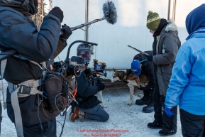 A film crew works with Anna and Kristy Berington during the pre-race vet check at Iditarod Headquarters in Wasilla, Alaska. Wednesday February 26, 2019 Photo by Jeff Schultz/  (C) 2019  ALL RIGHTS RESERVED
