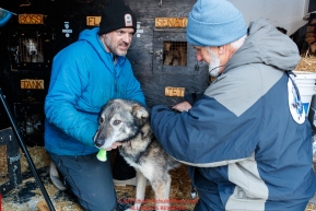 Musher Jason Campeau helps veterinarian Bill Sampson examine