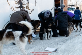 Veterinarians check Jeff Deeter's dogs during the pre-race vet check at Iditarod Headquarters in Wasilla, Alaska. Wednesday February 26, 2019 Photo by Jeff Schultz/  (C) 2019  ALL RIGHTS RESERVED