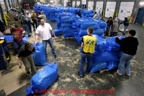 Volunteers bag, palletize and add postage to 1500 bales of straw at Airland Transport in Anchorage to be sent out to the 22 checkpoints along the Iditarod trail Thursday, Feb. 7, 2013.