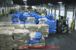 Volunteers bag, palletize and add postage to 1500 bales of straw at Airland Transport in Anchorage to be sent out to the 22 checkpoints along the Iditarod trail Thursday, Feb. 7, 2013.