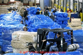 Airland Transport employee J.C. Sneed uses a forklift to move some of the 1500 bales of straw at Airland Transport in Anchorage to be sent out to the 22 checkpoints along the Iditarod trail Thursday, Feb. 7, 2013.