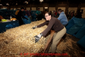 Mary Maddux pushes some of 1500 bales of straw down to other volunteers at Airland Transport in Anchorage to be sent out to the 22 checkpoints along the Iditarod trail Thursday, Feb. 7, 2013.