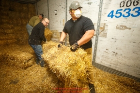 Iditarod volunteers unload a van load of straw as part of the 1635 bales of straw that is destined for all the checkpoints on the 2017 Iditarod at the Airland Transport warehouse facilities in Anchorage Alaska. Thursday February 9, 2017.Photo by Jeff Schultz/SchultzPhoto.com  (C) 2017  ALL RIGHTS RESVERVED