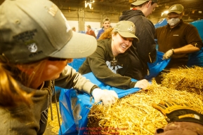 Mormon Church Sister Slaughter and Sister Oliver are a part of an assembly line of Iditarod volunteers which unload, bag, stack and shrinkwrap the 1635 bales of straw that is destined for all the checkpoints on the 2017 Iditarod at the Airland Transport warehouse facilities in Anchorage Alaska. Thursday February 9, 2017.Photo by Jeff Schultz/SchultzPhoto.com  (C) 2017  ALL RIGHTS RESVERVED