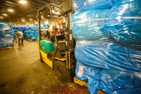 Airland transport employee Eric McKeon runs a forklift with pallets of straw as he helps the Iditarod volunteers unload, bag, stack and shrinkwrap the 1635 bales of straw that is destined for all the checkpoints on the 2017 Iditarod at the Airland Transport warehouse facilities in Anchorage Alaska. Thursday February 9, 2017.Photo by Jeff Schultz/SchultzPhoto.com  (C) 2017  ALL RIGHTS RESVERVED