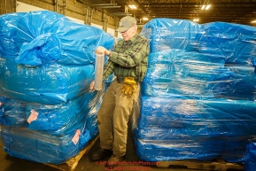 Volunteer Doug Calkin shrink-wraps a pallet of bagged straw as he helps other Iditarod volunteers unload, bag, stack and shrinkwrap the 1635 bales of straw that is destined for all the checkpoints on the 2017 Iditarod at the Airland Transport warehouse facilities in Anchorage Alaska. Thursday February 9, 2017.Photo by Jeff Schultz/SchultzPhoto.com  (C) 2017  ALL RIGHTS RESVERVED