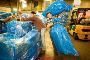 Iditarod volunteers move, stack and shrinkwrap some of  the 1635 bales of straw that is destined for all the checkpoints on the 2017 Iditarod at the Airland Transport warehouse facilities in Anchorage Alaska. Thursday February 9, 2017.Photo by Jeff Schultz/SchultzPhoto.com  (C) 2017  ALL RIGHTS RESVERVED