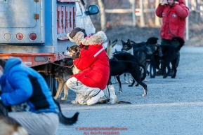 A group of volunteer veterinarians looks over Charley Benja dogs at the 2016 Iditarod Pre-race vet check in Wasilla, Alaska. March 02, 2016 Â© Jeff Schultz/SchultzPhoto.com ALL RIGHTS RESERVEDDO NOT REPRODUCE WITHOUT PERMISSION