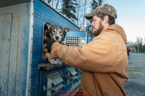 Iditarod musher Elliot Anderson takes one of his dogs from its dog box at the 2016 Iditarod Pre-race vet check in Wasilla, Alaska. March 02, 2016 Â© Jeff Schultz/SchultzPhoto.com ALL RIGHTS RESERVEDDO NOT REPRODUCE WITHOUT PERMISSION