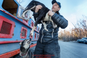 Iditarod musher Charley Benja takes out a dog from the dog box at the 2016 Iditarod Pre-race vet check in Wasilla, Alaska. March 02, 2016 Â© Jeff Schultz/SchultzPhoto.com ALL RIGHTS RESERVEDDO NOT REPRODUCE WITHOUT PERMISSION