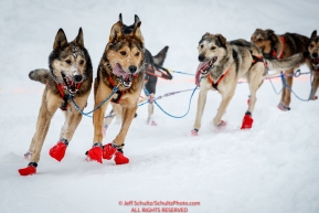 Aaron Peck lead dogs on the bike/ski trail during the ceremonial start day of the 2018 Iditarod in Anchorage, Alaska on Saturday, March 3 2018.Photo by Jeff Schultz/SchultzPhoto.com  (C) 2018  ALL RIGHTS RESERVED