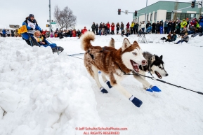 Tom Schonberger makes the turn at Cordova Street and 4th Avenue during the ceremonial start of the 2018 Iditarod in Anchorage, Alaska on Saturday, March 3, 2018.Photo by Jeff Schultz/SchultzPhoto.com  (C) 2018  ALL RIGHTS RESERVED