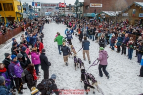 Jessie Royer and team make their way to the start line on 4th avenue in downtown during the Ceremonial Start of the 2016 Iditarod in Anchorage, Alaska.  March 05, 2016