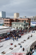 Becca Moore runs down 4th avenue leaving the Ceremonial Start of the 2016 Iditarod in Anchorage, Alaska.  March 05, 2016