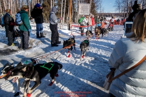 Sigrid Ekran runs past a gauntlet of spectators as she comes off of Willow Lake during the Restart of the 2016 Iditarod in Willow, Alaska.  March 06, 2016.