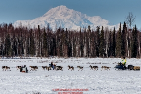 Nicolas Petit runs on Long Lake with Denali in the background during the Restart of the 2016 Iditarod in Willow, Alaska.  March 06, 2016.