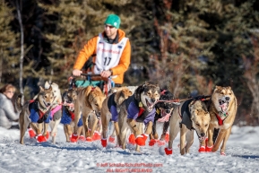 Kelly Maixner runs on the trail after leaving the start during the Restart of the 2016 Iditarod in Willow, Alaska.  March 06, 2016.