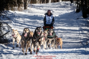 Becca Moore teams runs on the trail after leaving the start during the Restart of the 2016 Iditarod in Willow, Alaska.  March 06, 2016.