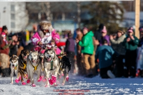 DeeDee Jonrowe's leaders run down the chute at the start of the Re-Start of the 2016 Iditarod in Willow, Alaska.  March 06, 2016