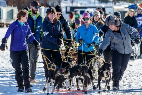 Dog handlers walk Tore Albrigtsen's team from the holding area to the start during theRe-Start of the 2016 Iditarod in Willow, Alaska.  March 06, 2016