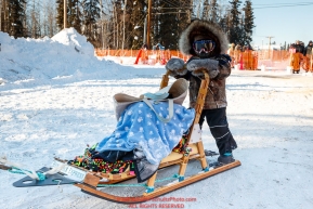 A young fan rides his sled into the staging area prior to the re-start of the 2017 Iditarod in Fairbanks, Alaska at PikeÂs Landing on Monday March 6, 2017.Photo by Jeff Schultz/SchultzPhoto.com  (C) 2017  ALL RIGHTS RESVERVED