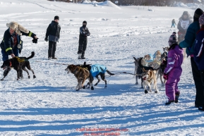 A spectator helps Hans Gatt get his dogs straightened out on the Chena River during the re-start of the 2017 Iditarod in Fairbanks, Alaska at PikeÂs Landing on Monday March 6, 2017.Photo by Jeff Schultz/SchultzPhoto.com  (C) 2017  ALL RIGHTS RESVERVED