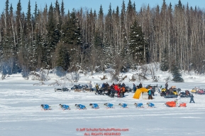 A team runs on the trail along the Tanana river between Fairbanks and Nenana during the 2017 Iditarod on Monday March 6, 2017.Photo by Jeff Schultz/SchultzPhoto.com  (C) 2017  ALL RIGHTS RESVERVED