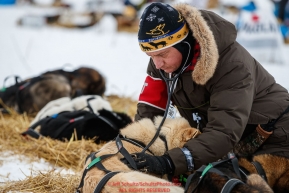 Volunteer veterinarian Steven Shipley examines a Rick Casillo dog at the Nikolai checkpoint  during the 2018 Iditarod race on Tuesday afternoon March 06, 2018. Photo by Jeff Schultz/SchultzPhoto.com  (C) 2018  ALL RIGHTS RESERVED