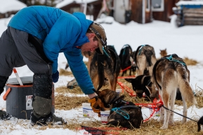 Jessie Holmes feeds his dogs at the Nikolai checkpoint  during the 2018 Iditarod race on Tuesday afternoon March 06, 2018. Photo by Jeff Schultz/SchultzPhoto.com  (C) 2018  ALL RIGHTS RESERVED