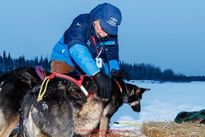 Volunteer veterinarian Timothy Bowser examines a Ryan Redington dog at the Nikolai checkpoint during the 2018 Iditarod race on Tuesday March 06, 2018. Photo by Jeff Schultz/SchultzPhoto.com  (C) 2018  ALL RIGHTS RESERVED