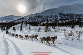 Noah Burmeister runs up hill after leaving Puntilla Lake and the Rainy Pass Checkpoint during Iditarod 2016.  Alaska.  March 07, 2016.  Photo by Jeff Schultz (C) 2016 ALL RIGHTS RESERVED