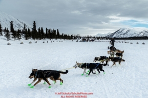 Mats Pettersson turns his dogs into a parking spot on Puntilla Lake at the Rainy Pass Checkpoint during Iditarod 2016.  Alaska.  March 07, 2016.  Photo by Jeff Schultz (C) 2016 ALL RIGHTS RESERVED