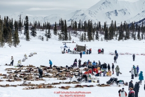 As teams rest in the sun, another team is on Puntilla Lake at the Rainy Pass Checkpoint during Iditarod 2016.  Alaska.  March 07, 2016.  Photo by Jeff Schultz (C) 2016 ALL RIGHTS RESERVED