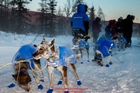 Frosty dogs arrive at the checkpoint in Manley Hot Springs during the 2017 Iditarod on Tuesday March 7, 2017.Photo by Jeff Schultz/SchultzPhoto.com  (C) 2017  ALL RIGHTS RESVERVED