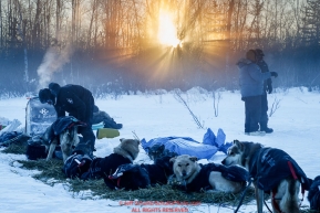 Dallas Seavey waters his dogs as the sun begins to rise at the checkpoint in Manley Hot Springs during the 2017 Iditarod on Tuesday March 7, 2017.Photo by Jeff Schultz/SchultzPhoto.com  (C) 2017  ALL RIGHTS RESVERVED