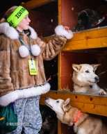 A yound Iditarider meets the dog team she'll be riding with at the ceremonial start in Anchorage, AK of the 2020 Iditarod.