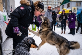 Iditarider Kristy Grumbles from Texas bonds with her ride team at the ceremonial start in Anchorage, AK of the 2020 Iditarod.