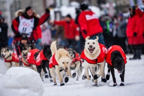 Laura Neese and team take off from the starting line at the ceremonial start in Anchorage, AK of the 2020 Iditarod.