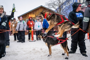 Leaping straight up at the ceremonial start in Anchorage, AK of the 2020 Iditarod.