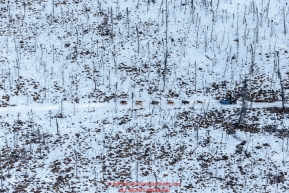 A team runs on the trail in the Farewell Burn between Rohn and Nikolai during Iditarod 2016.  Alaska.  March 08, 2016.  Photo by Jeff Schultz (C) 2016 ALL RIGHTS RESERVED