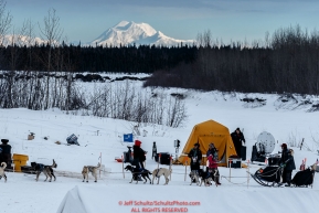 Martin Buser arrives at the Nikolai checkpoint with Denali and the Alaska Range in the background during Iditarod 2016.  Alaska.  March 08, 2016.  Photo by Jeff Schultz (C) 2016 ALL RIGHTS RESERVED