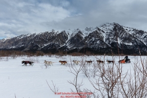 Robert Redington, grandson of Joe Redington Sr., runs past pussy willows on the South Fork of the Kuskokwim River on the way to Nikolai shortly after leaving Rohn during Iditarod 2016.  Alaska.  March 08, 2016.  Photo by Jeff Schultz (C) 2016 ALL RIGHTS RESERVED